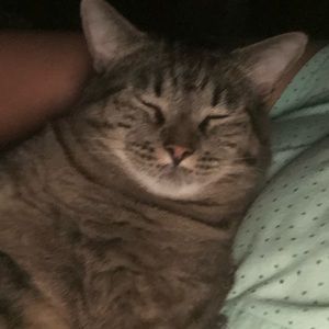 🌺 Hope you enjoy my closet !